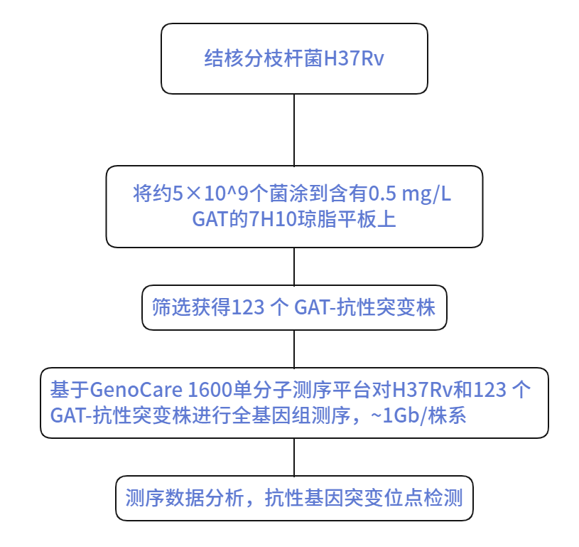 真邁生物(wù)單分(fēn)子測序儀助力結核分(fēn)枝杆菌抗藥機制研究