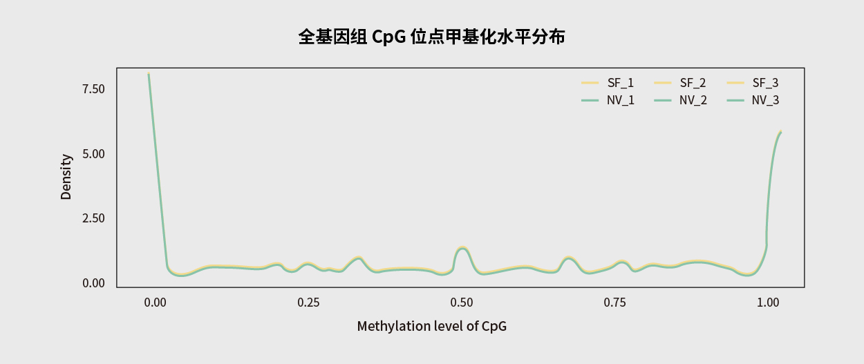 腫瘤基因檢測