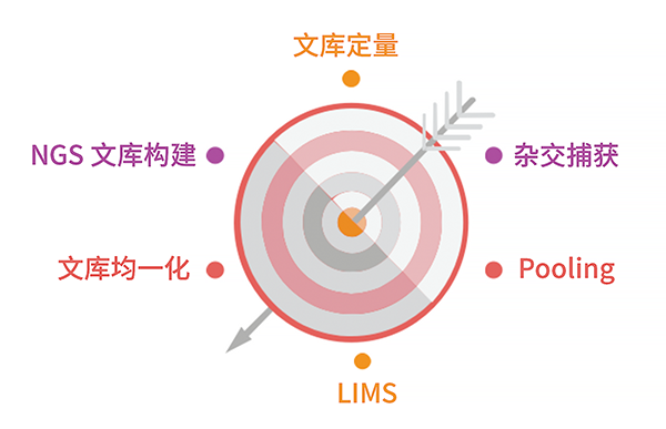 MrLH-96全自動樣本處理(lǐ)系統