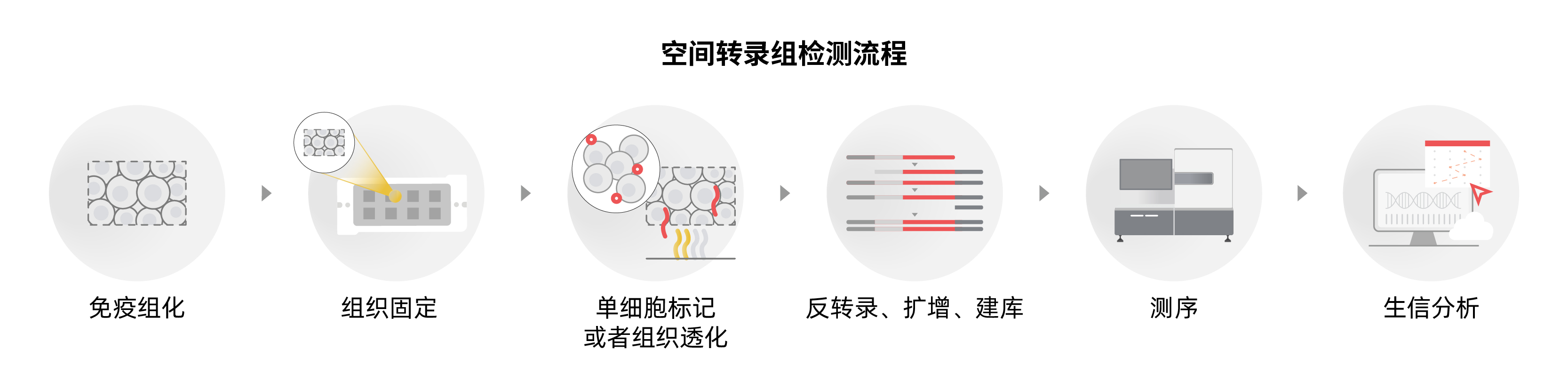 單細胞與空間組學