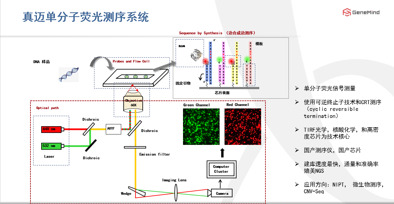 課程回顧丨單分(fēn)子基因測序：了(le)解病毒，戰勝病毒