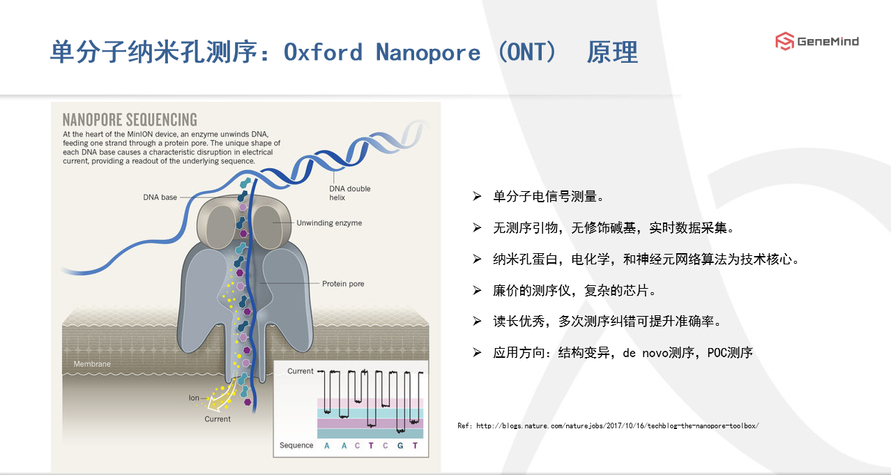 課程回顧丨單分(fēn)子基因測序：了(le)解病毒，戰勝病毒