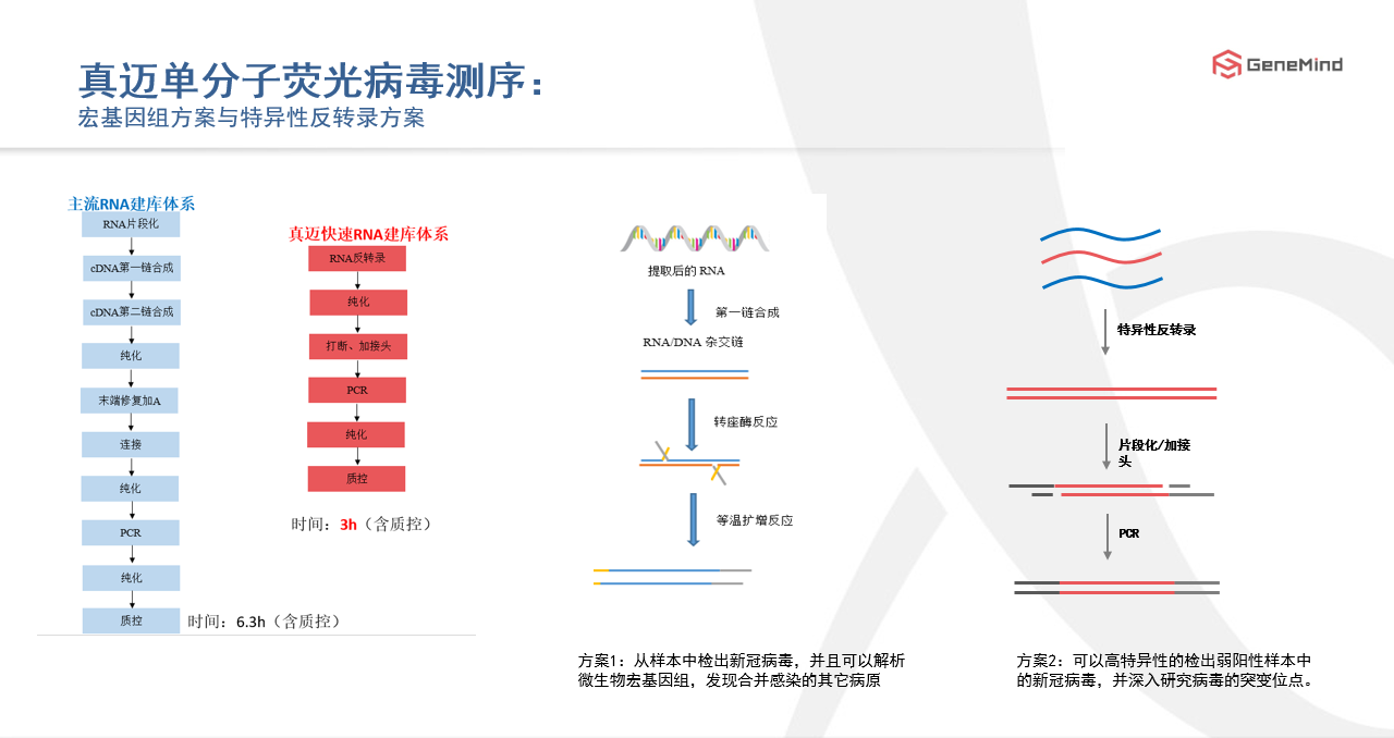 課程回顧丨單分(fēn)子基因測序：了(le)解病毒，戰勝病毒