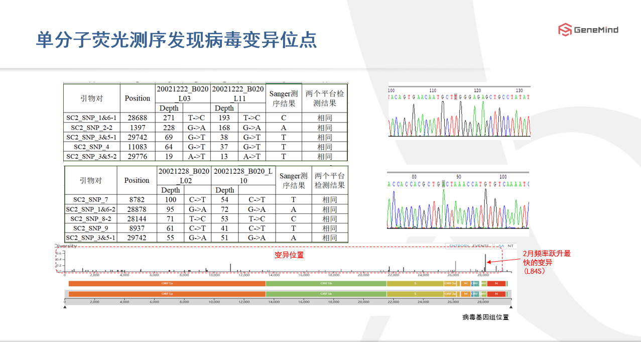 課程回顧丨單分(fēn)子基因測序：了(le)解病毒，戰勝病毒