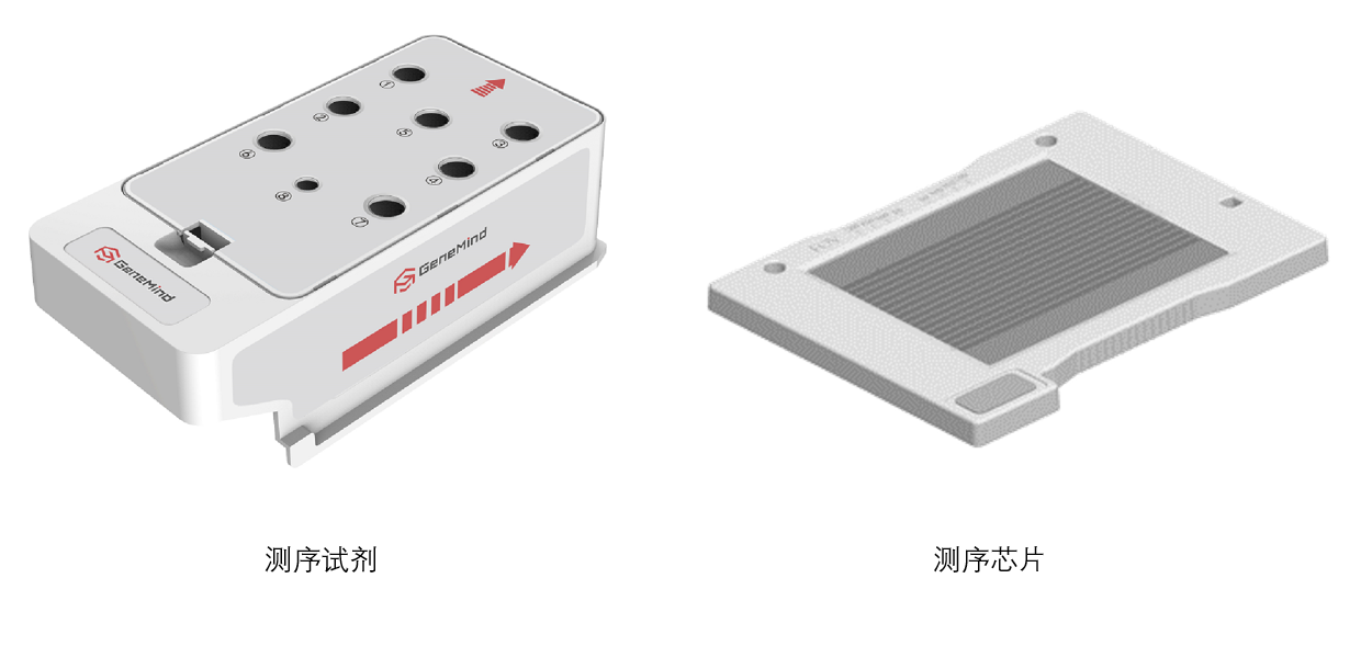 真邁生物(wù)3項産品同時(shí)榮獲“深圳企業創新紀錄”